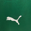 Camisa Palmeiras l 25/26