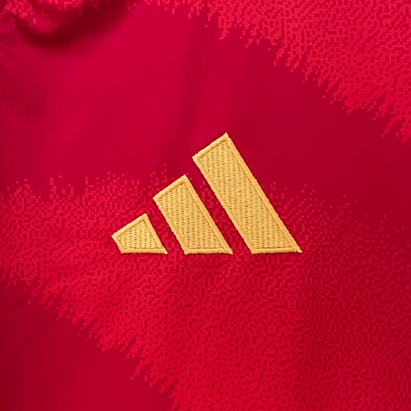 Camisa Espanha 2024