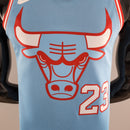 Chicago Bulls ( JORDAN )